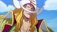 One Piece Wano Arc 21x963