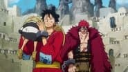 One Piece Wano Arc 21x919