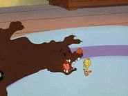 The Sylvester & Tweety Mysteries 1x13