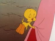 The Sylvester & Tweety Mysteries 1x7