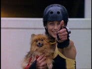 Power Rangers Lightspeed Rescue 8x4